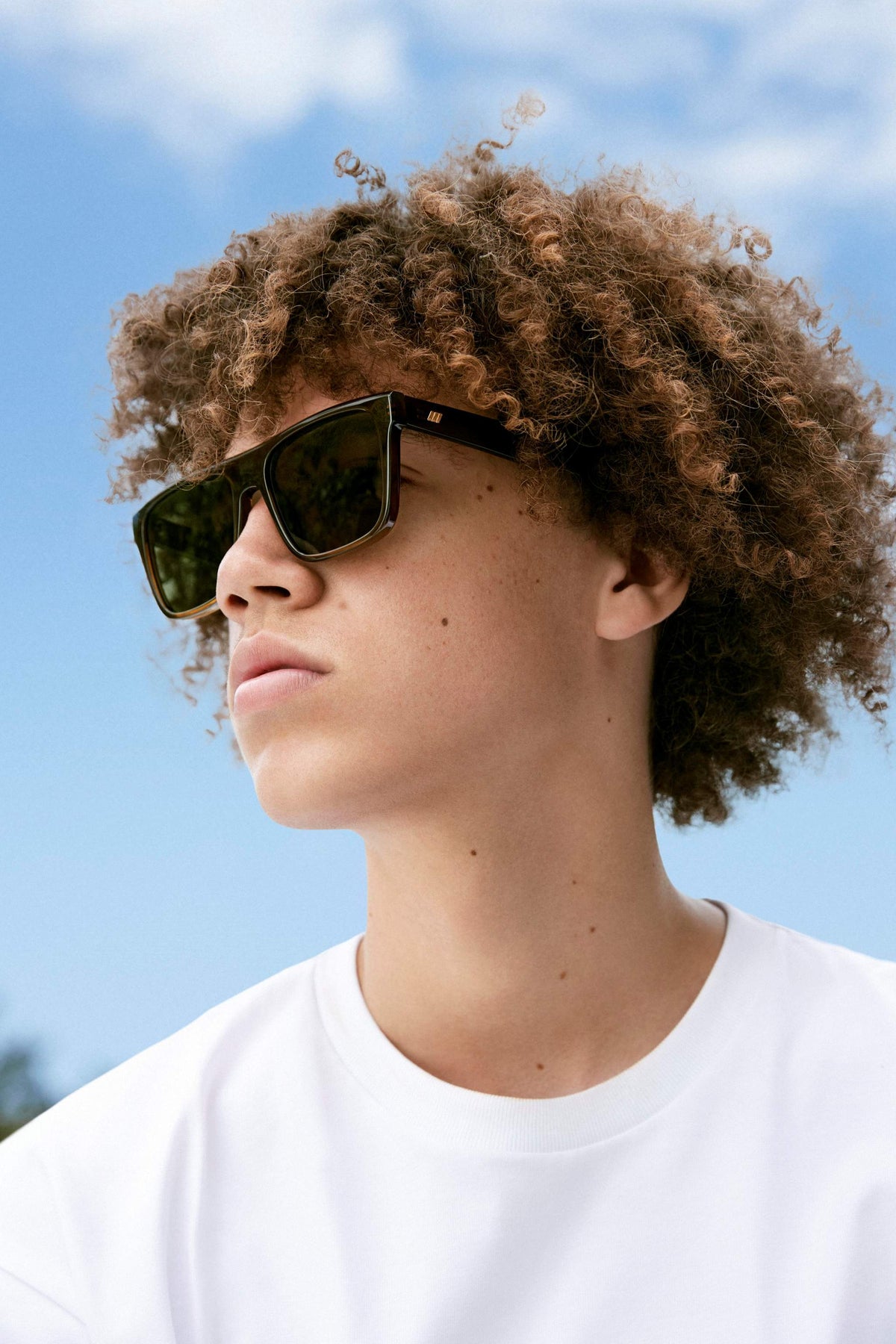 Le Specs Aristoplastic – Marron – verres verts – portées