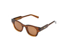 Komono Rae – Marron transparent – verres marron polarisés – vue de profil