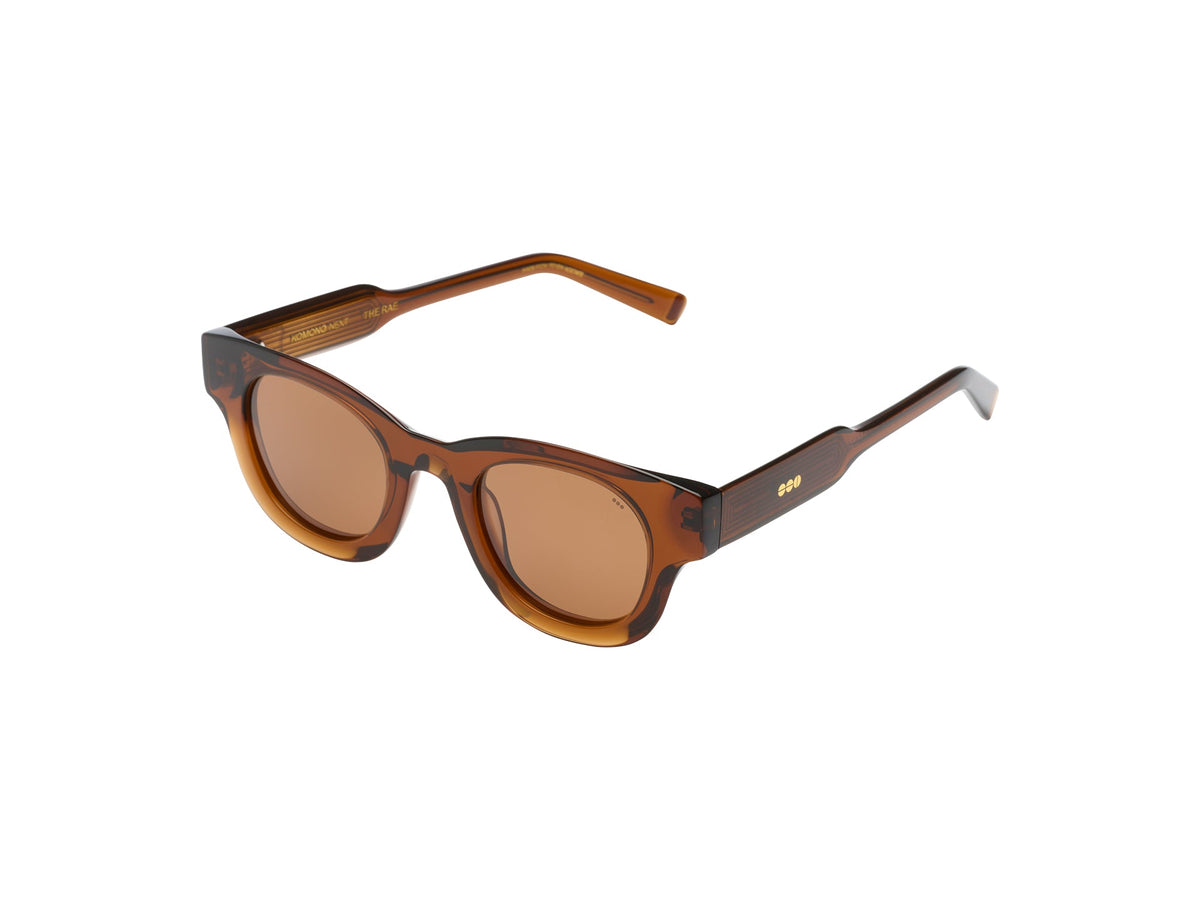 Komono Rae – Marron transparent – verres marron polarisés – vue de profil